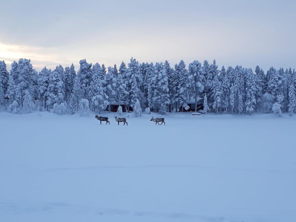 Revontulen Tupa Villa Kaamanen Exteriör bild